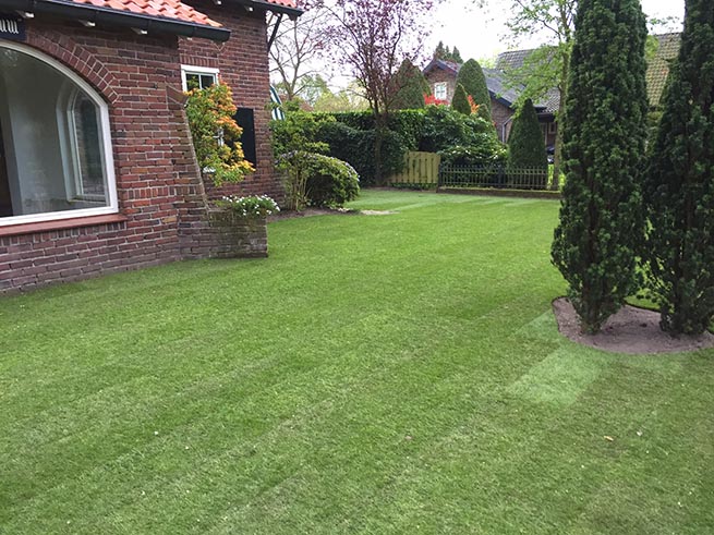 Frank van der donk - voortuin gazon 